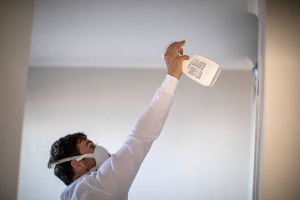 Best Crawl Space Mold Removal  in Rumson, NJ