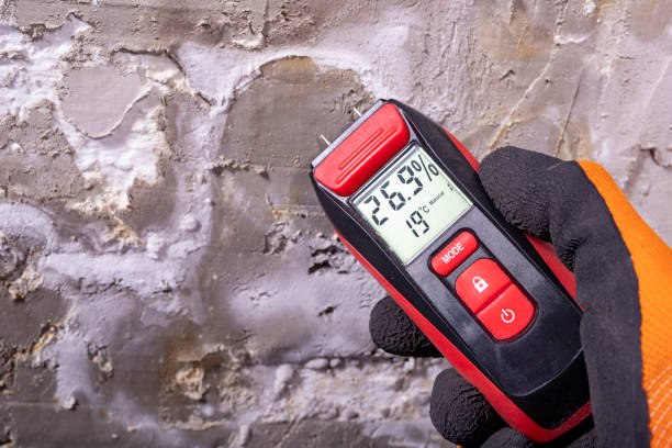 Attic Mold Removal in Rumson, NJ