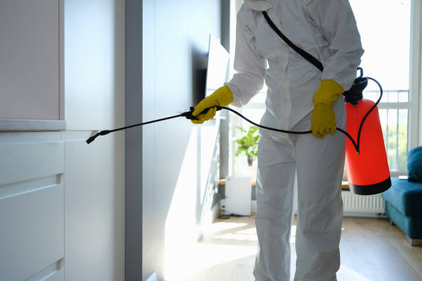 Best Emergency Mold Removal  in Rumson, NJ