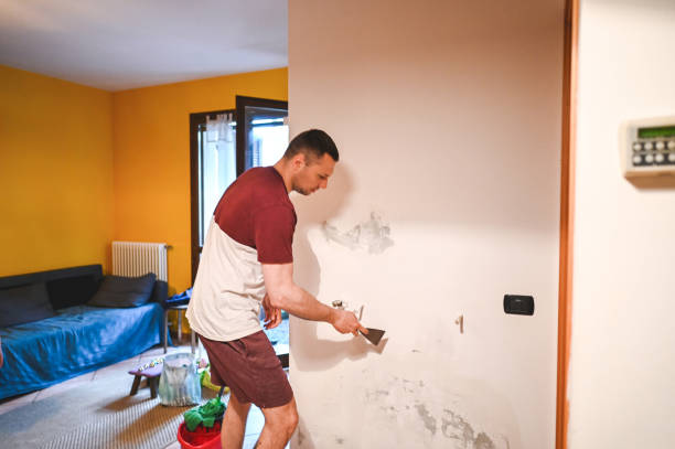 Best Fast Mold Removal  in Rumson, NJ